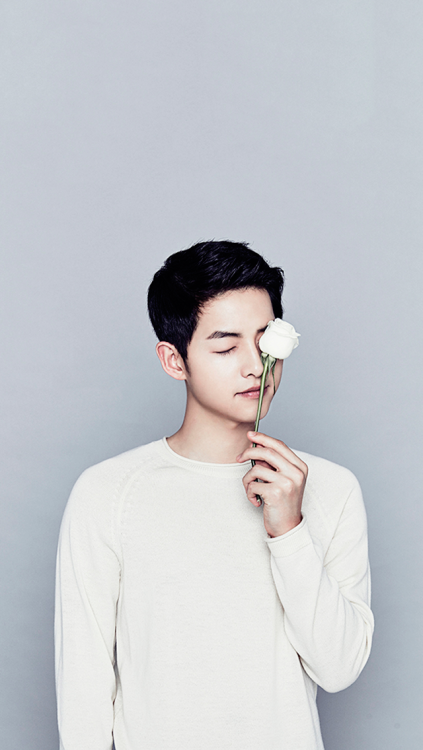 Sex yoo-sijin:  Lock Screens Song Joong Ki for pictures