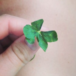I could really use some luck.  4 &frac12; leaf clover.