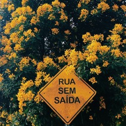 Rua sem saídaAmor sem saída