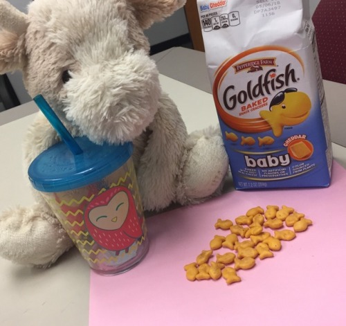 itsybitseybaby: Me and Cream cheese having a little snack ⭐️