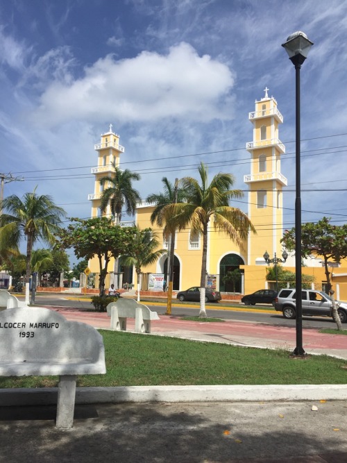 florakit: cozumel, belize city, roatan