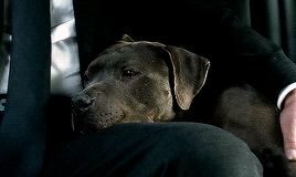 cantinaband:  The man. The myth. The legend. John Wick. You’re not very good at