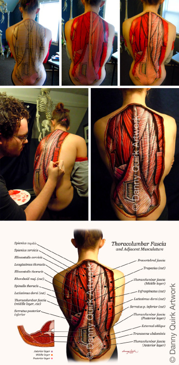 Recenly started doing a series of anatomical body paintings for educational purposes. They turned ou