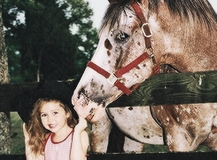 Lovatics & Smilers
