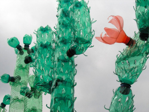 XXX knickae:   Recycled Plastic Bottle Sculptures photo