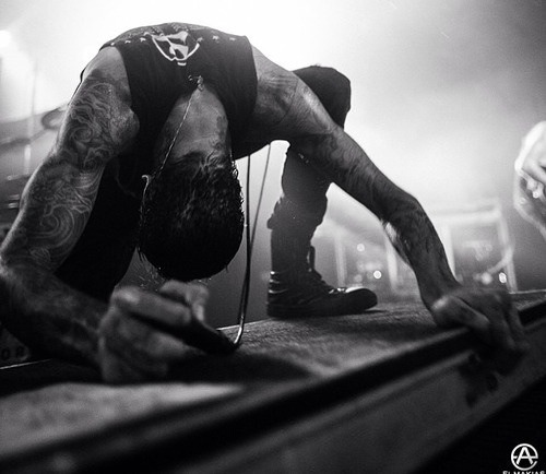 georginaspeirs:  Austin Carlile 