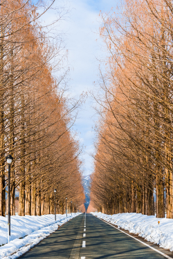 plasmatics:  Winter road by Takk B | (Website) 
