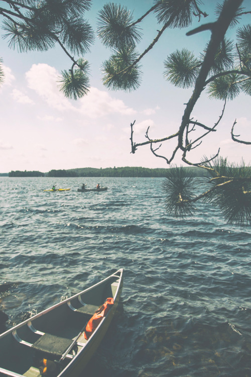 tryintoxpress - Algonquin Park  - William Self -  • ♤♡♢♧ •