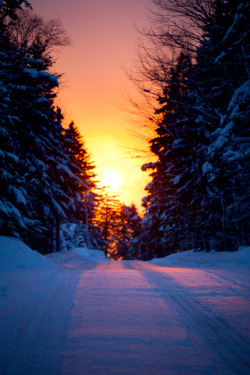 0rient-express:  snowy road sun glow | by nate parker | Website.   