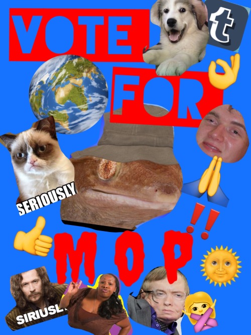 mop-2016: Vote for mop!!!!
