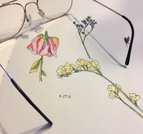 miennstudies:[12.29.16] 3 flowery doodles as i procrastinate more and more on hw