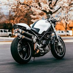 ducatiobsession:  Sometimes the simplest things are the sexiest things |  #ducatiobsession  #ducati #caferacer #ducaticaferacer #caferacerxxx #caferacerofinstagram #caferacerculture #motorcycle #panigale #photooftheday #photography #monster #custombikes