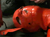 latexbandanna: