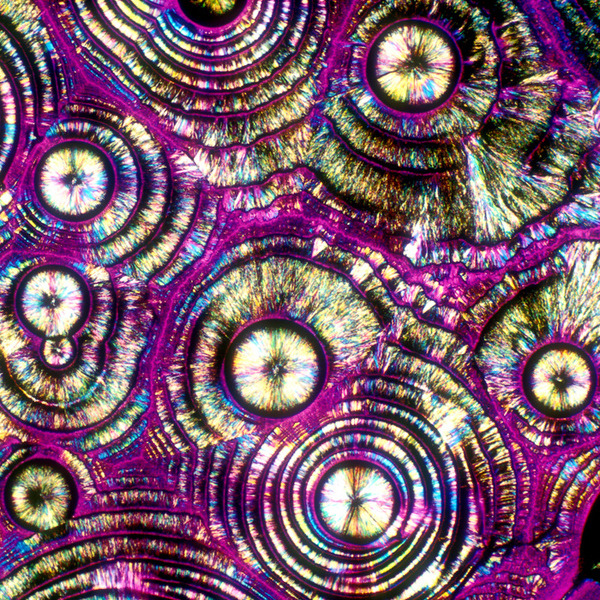 artsyrup:  Alcohol Under Microscope Pina Colada Vodka Tonic Tequila 