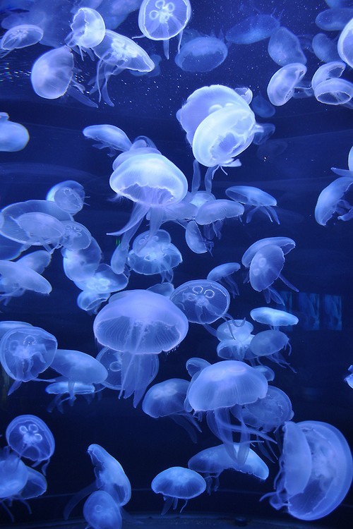 wonderous-world:  Deep in Space by Andrew Van Wart