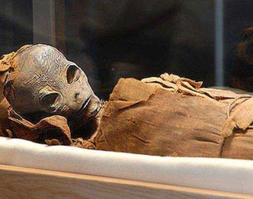  The rumors have been whispered for years that the mummy of an extraterrestrial had