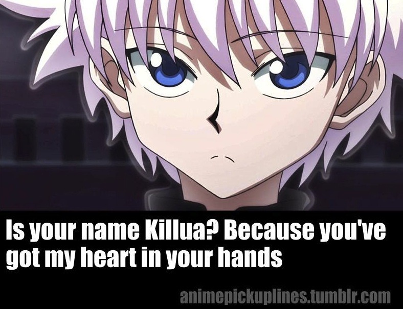 XD I just love killua's expression  Hunter x hunter, Funny hunter, Hunter  anime