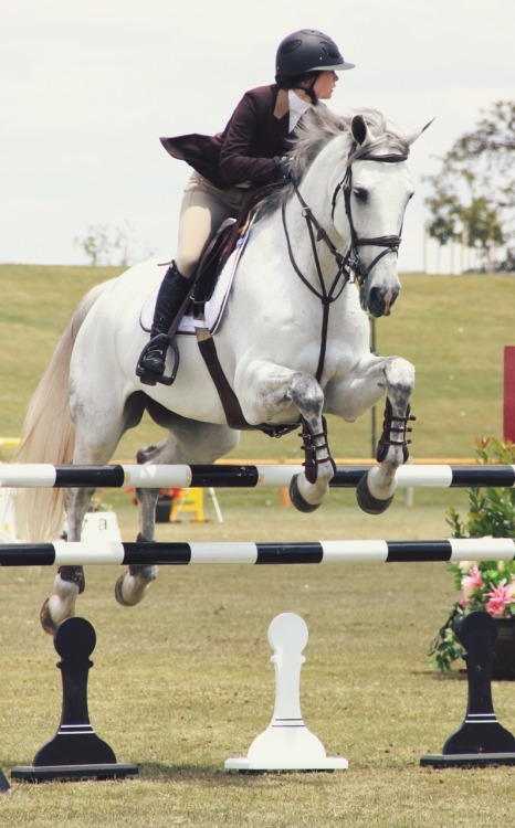 Paso Robles Horse Show || Memorial Classic 2015 || Hannah O'Toole & Livin’ the Dream