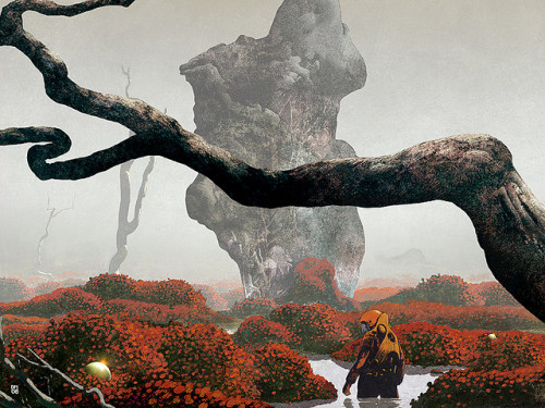untrustyou:  Land of the Sleeping Things by Dan McPharlin 