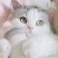 peachyminie