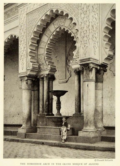 mydearalgeria: ALGERIA. The horseshoe arch in the grand mosque of Algiers.Donald Mcleish.