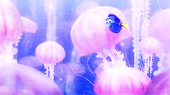 isolements:  an unending list of my favorite films » Finding Nemo (2003)  I have