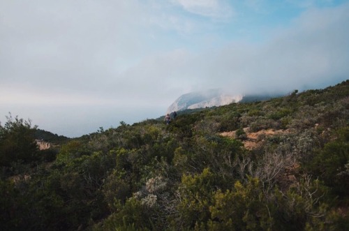 ZakynthosJungle vibes on a cliff overlooking the infamous shipwreck beachRidiculous views