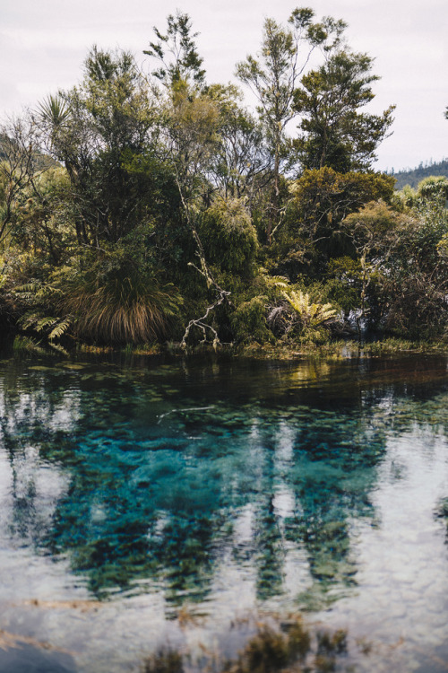 piavalesca:pupu springs, sacred waters to the maori,sparkling in emerald, turquoise and blue