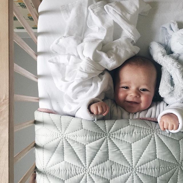 themountainlaurel:  Margaritha