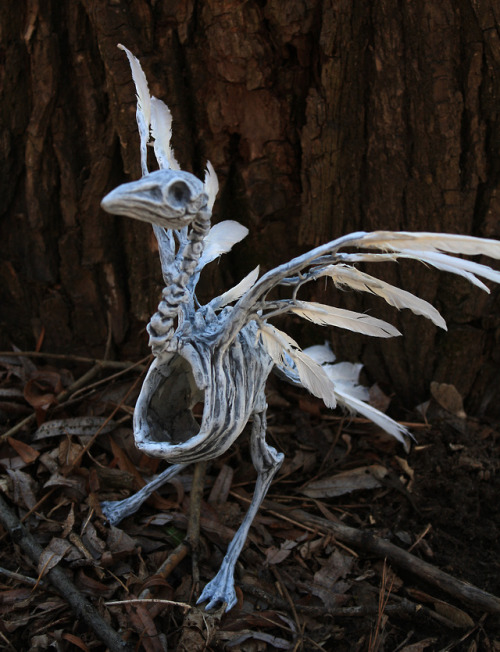 Solas, skeleton zombie bird sculpture. He was so fun to make! He is for sale on etsy here