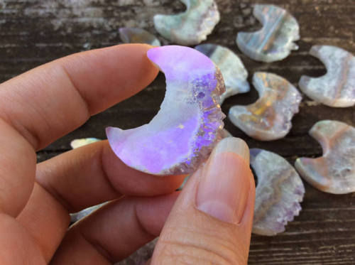 sosuperawesome:Amethyst Aura Slices and Fossilized Shells by Jenifer O'Neill on Etsy