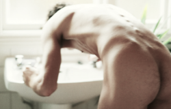 gluteus maximus