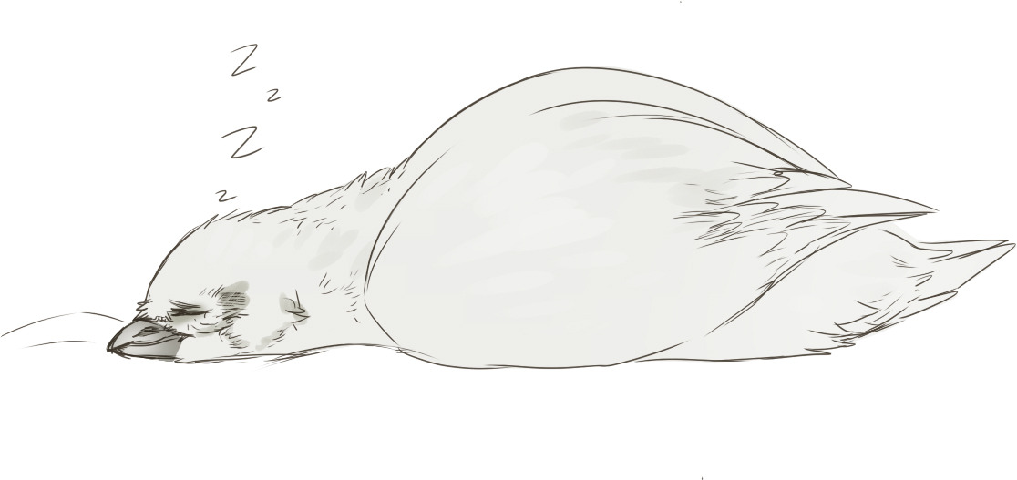 maimbutt:  I’m shipping birds, again.  omfg yessssss&hellip;!