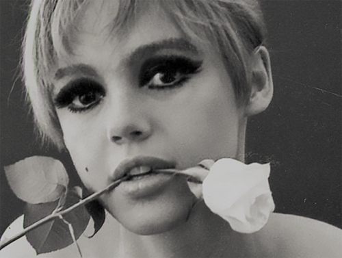 l-o-o-p-y: Edie Sedgwick, photographed by Ronald Bacsa