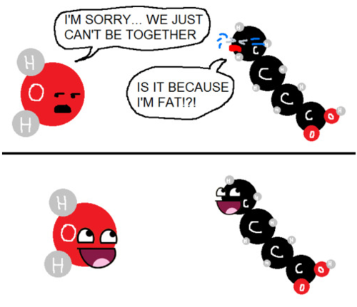 It&rsquo;s funny, see, below fat isn&rsquo;t water soluble.  Get it?  Get it? 