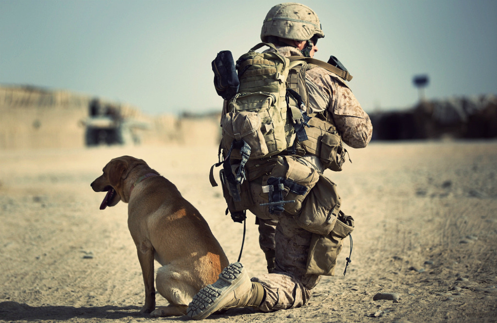 Military Photos