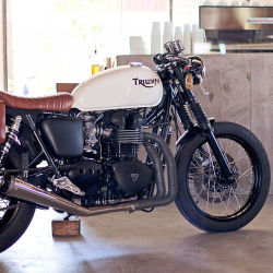 Triumph Bikes