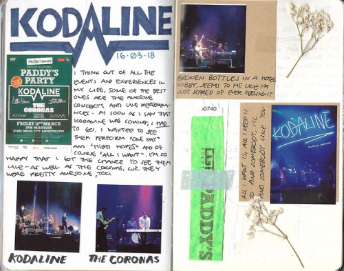 Last week, Kodaline and a couple other Ireland-based bands came to my city to perform for St. Patric
