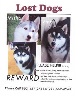 fightblr:  southernsnowdogs:  sirwinstonstubbsworth:  southernsnowdogs:  My friends dogs were stolen in Mabank, Texas a few days ago! Misha is a 3 1/2 year old intact female Siberian Husky, gray/white with brown eyes. Tux is a 2 year old intact male