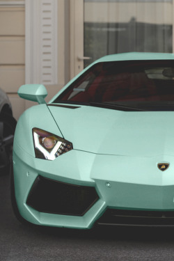 w0rldvanity:   Mint Lambo | WorldVanity 