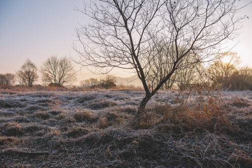 2013-12-22Instagram  |  hwantastic79vividUpo wetland, Republic of Korea Nikon D4 + AF-S NIKKOR 24-70