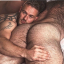 hairyshot