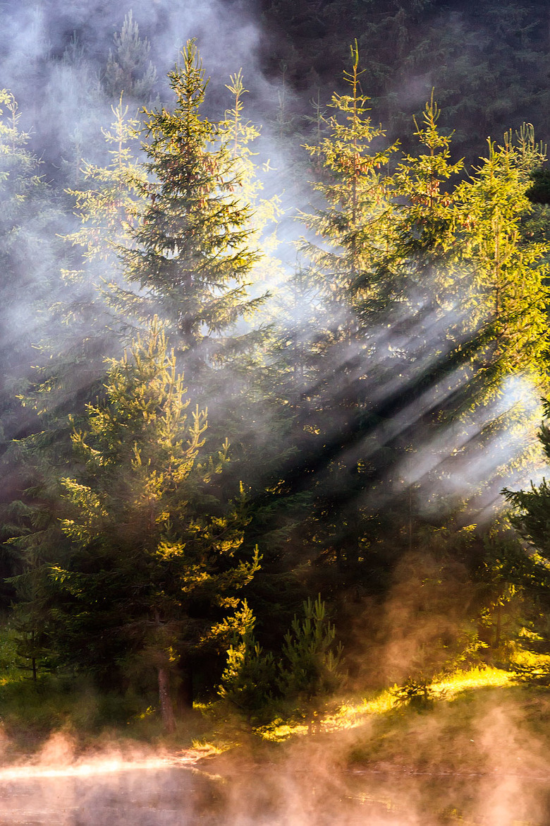 megingjord:
“ (via 500px / Summer beams by Evgeni Dinev) ”