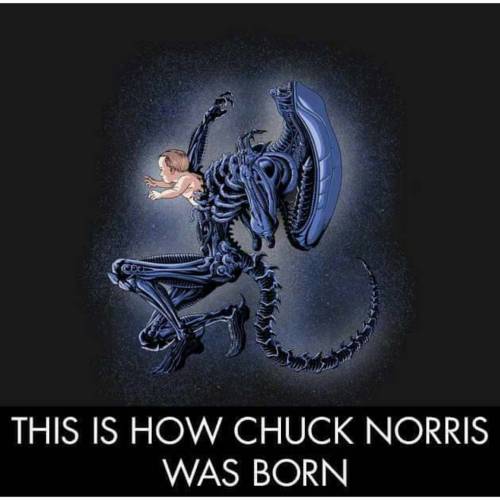 Well I don’t think I can offend anyone with this post! I give you the birth of Chuck Norris! #chucknorris #xenomorph #birth #epic #alien