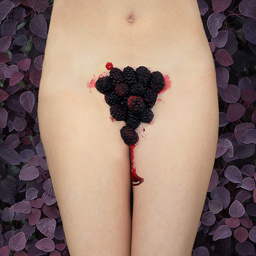 definitelydope:  By Alexandra Sophie  Jardin fleuris is a series representing the different ages of a woman. The first picture is called Virgin Soil, the second is called Mûres which means both “blackberries” and “mature” representing puberty
