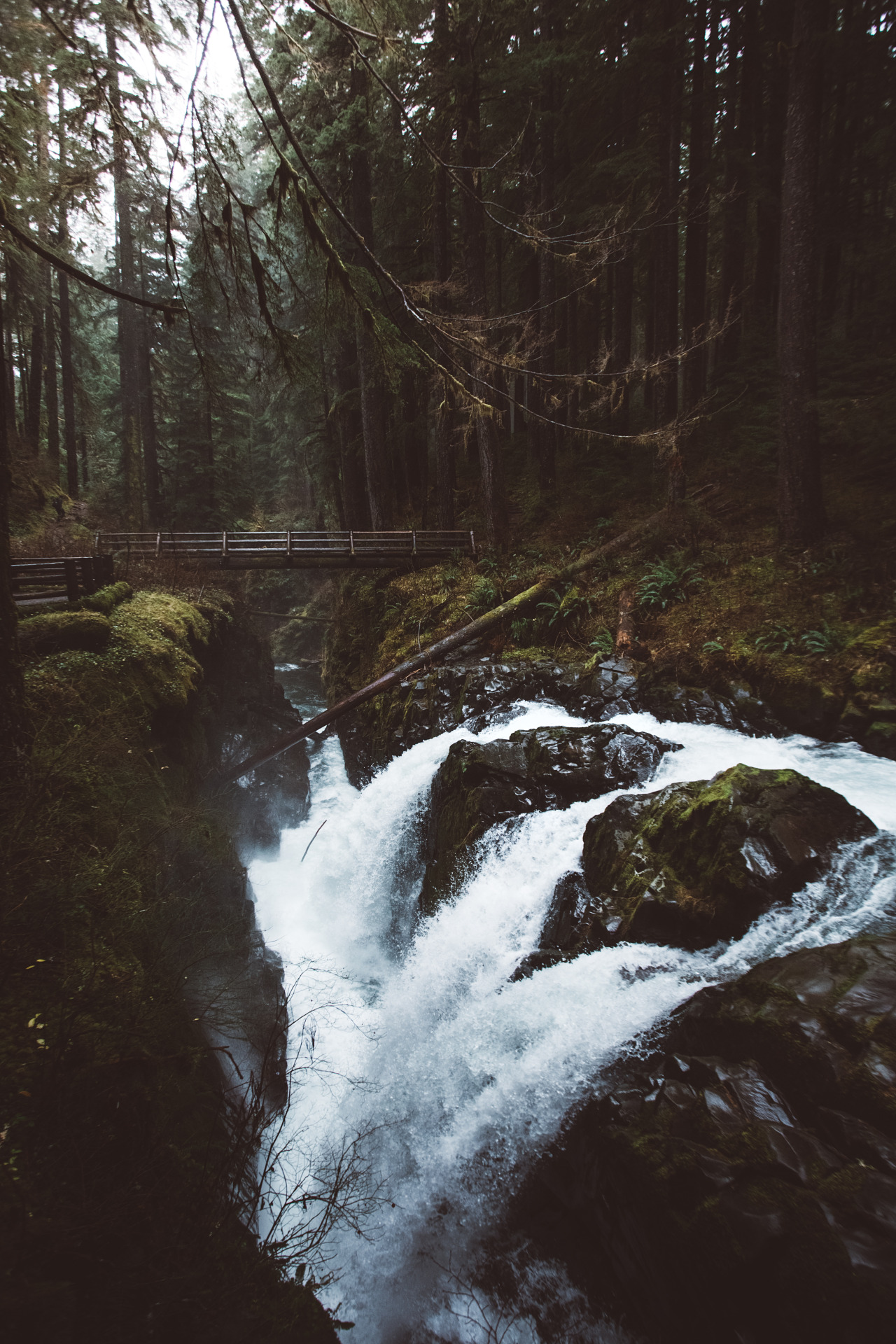 jscuttish: Sol Duc  by Jason Scottish IG: jscottish 