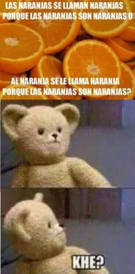 quizasnuncafuisteparami:  EL OSO XDDDDDDDDDDDDD