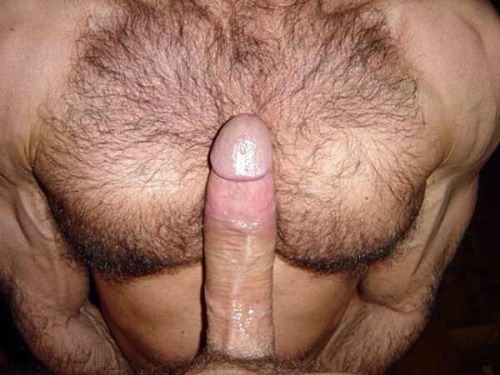 hard4dilfs: Woof
