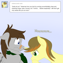 askfuselight:  What is somepony supposed