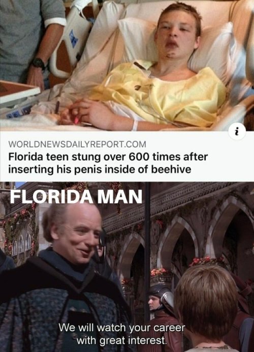 viejospellejos:  Florida man